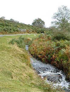 A Dartmoor Leat